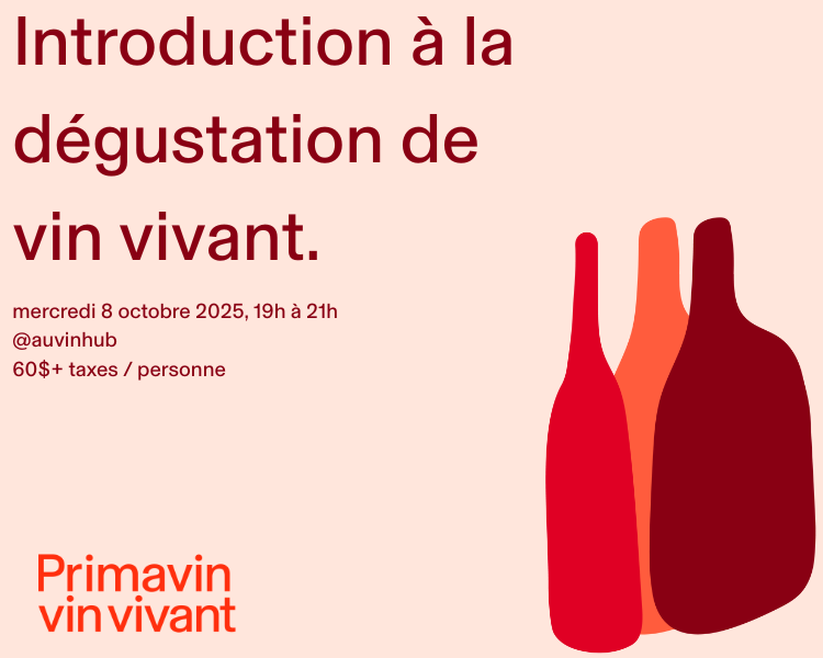 Initiation à la dégustation de vin vivant