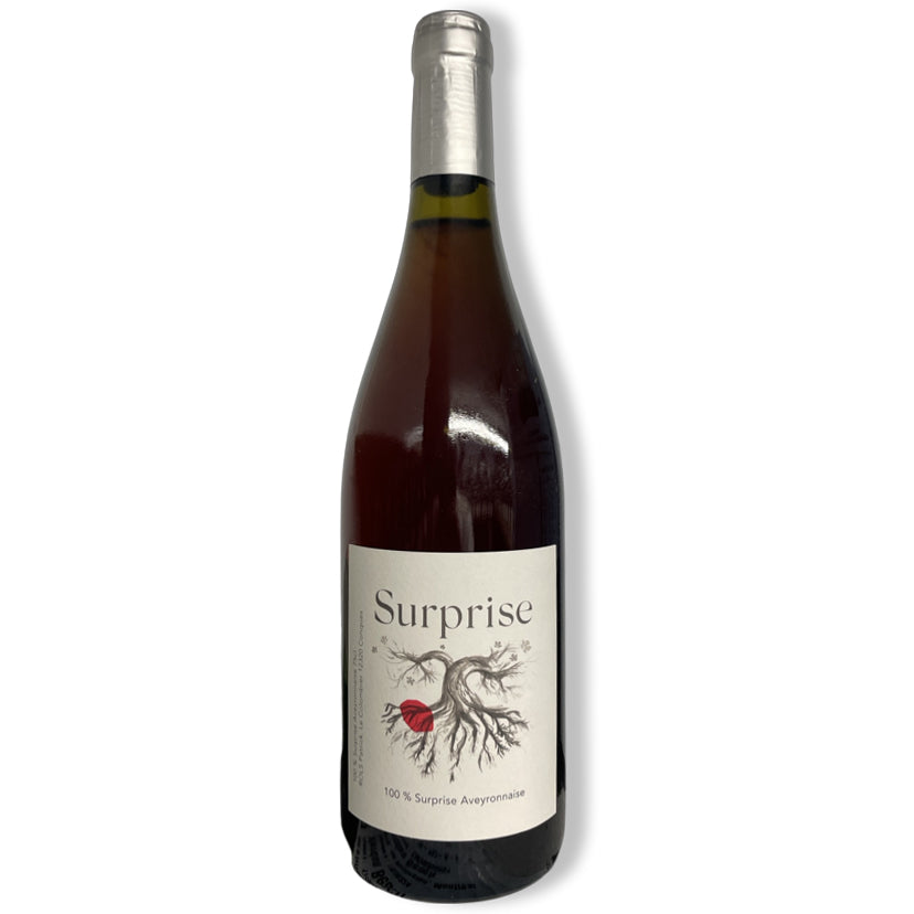 Surprise 2019 – Primavin